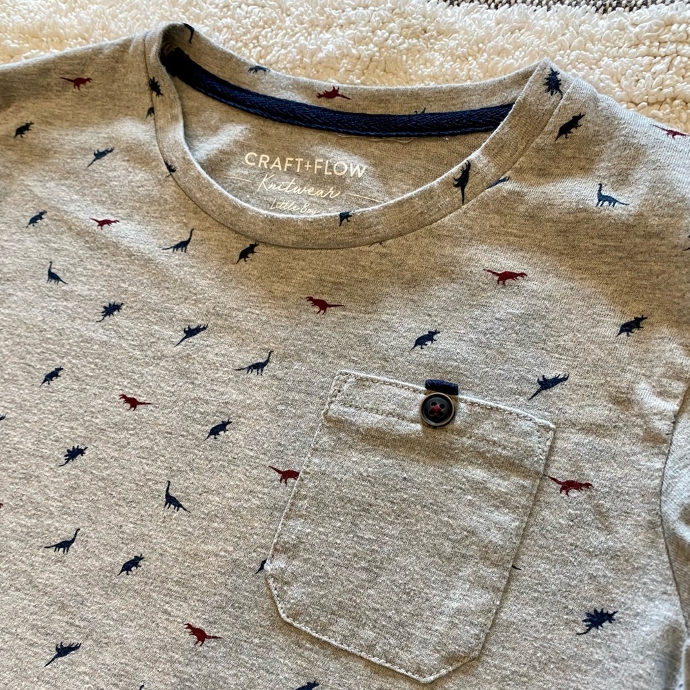 Boy’s size 6 long sleeve dinosaur print shirt.